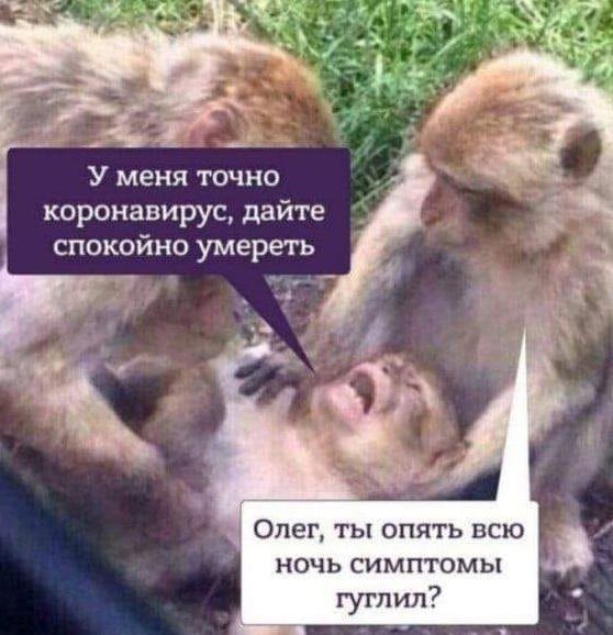 Коронавирус в Украине. Последние новости онлайнСюжет