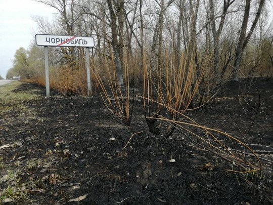 Пожарные еще работают: появилась свежая информация о ситуации в Чернобыльской зоне