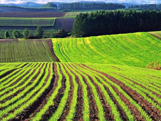 Россиянам мы точно не будем продавать нашу землю, — Николай Сольский