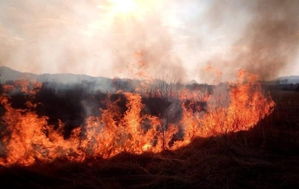 В Киеве накануне тушили десять лесных пожаров