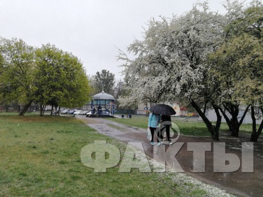 Дожди и температурные качели: синоптики дали прогноз погоды в Украине до конца текущей недели