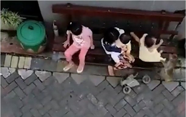 Обезьяна на мотоцикле пыталась украсть ребенка
