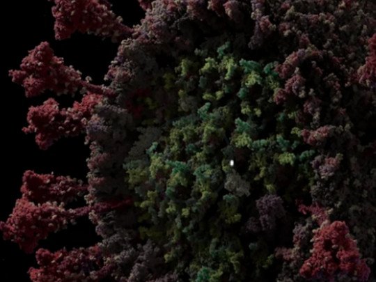 Создана детальная 3D-модель коронавируса: как выглядит безжалостный убийца людей (видео)