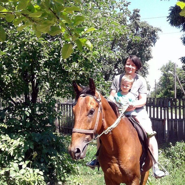 Семья киевлян перебралась в глухое полтавское село — и полностью преобразила его жизнь