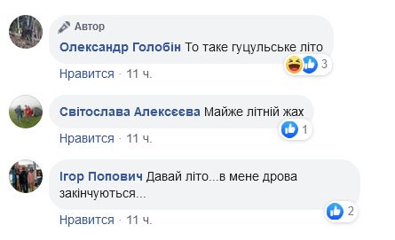 То таке гуцульське літо: сеть развеселила метель в Карпатах в последний день весны (видео)