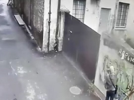 В Ровно ищут лысого хулигана, оскорбившего Украину (видео)