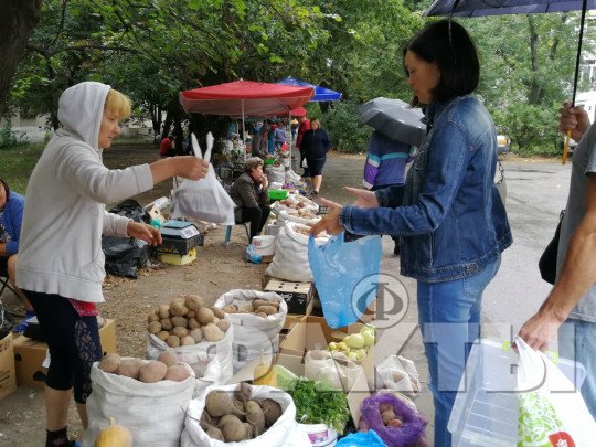 В Киеве до 3 октября проходят продуктовые ярмарки: адреса распродаж