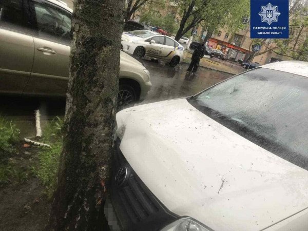 На Сегедской Volkswagen попал в ДТП, выехал на тротуар, сбил пешехода и врезался в дерево. Фото