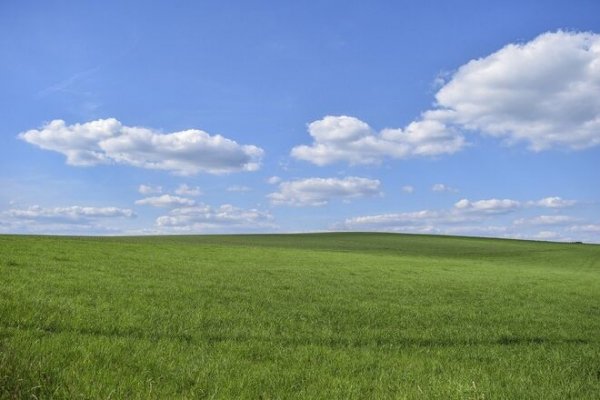 
                                                                        Норма есть – земли нет: министр назвал самообманом утверждение о праве украинцев на 2 га
                                                                                                                                                                                                                    