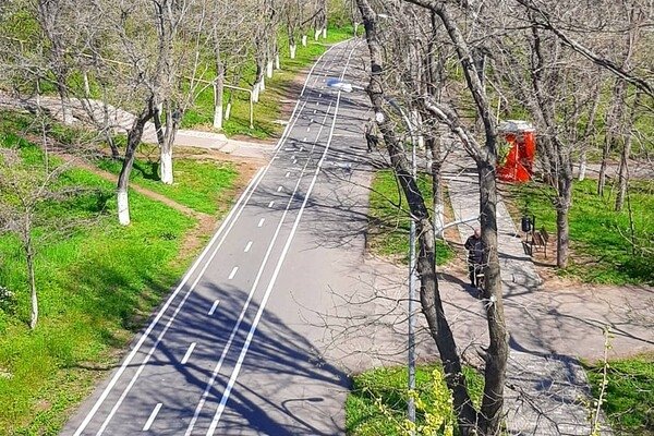 Хорошие новости: на Трассе Здоровья расширили и разделили велодорожку