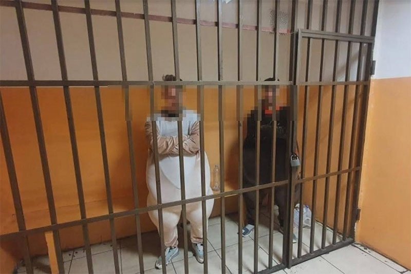 У Сочі кінь і осел отримали по п'ять діб за хуліганство: фоткалися з людьми і вимагали у перехожих гроші