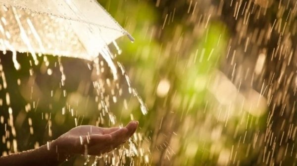 В Украину вновь возвращаются дожди: прогноз до конца недели