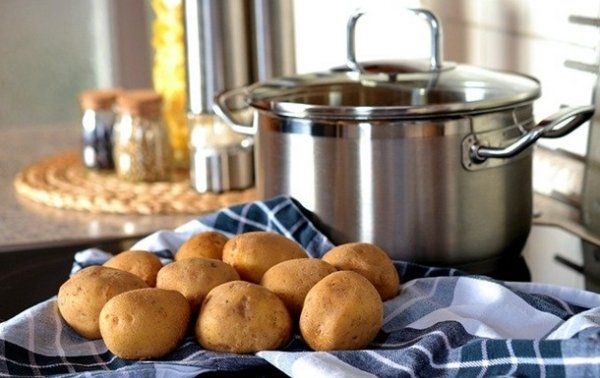 Картофель снижает риск гипертонии – ученые