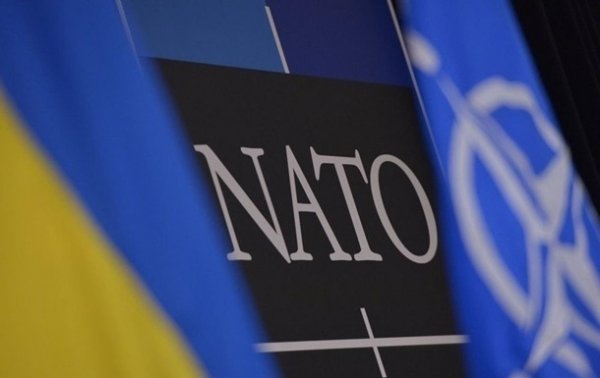 Итоги 14.06: Решение НАТО и условие для СП-2Сюжет