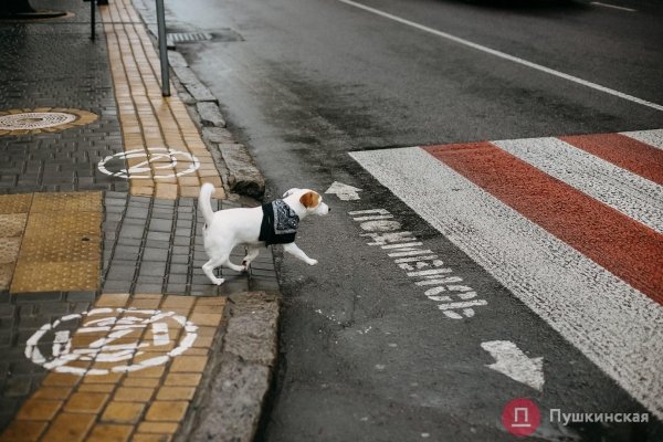 Дождь, ветер, холодрыга: как в Одессе стартовало лето. Фоторепортаж