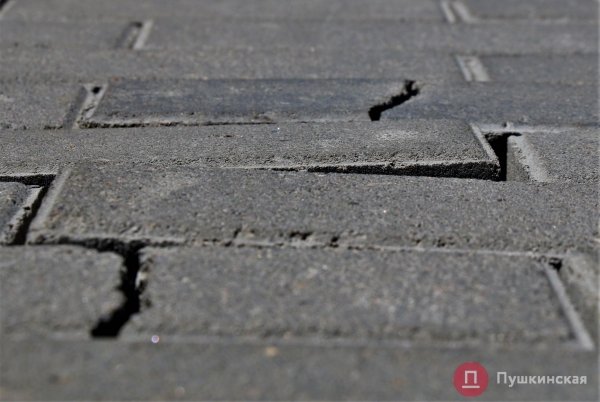 Сами платят, сами ломают: мэр Одессы намерен обуздать «парковочный халоймес» в Новощепном ряду