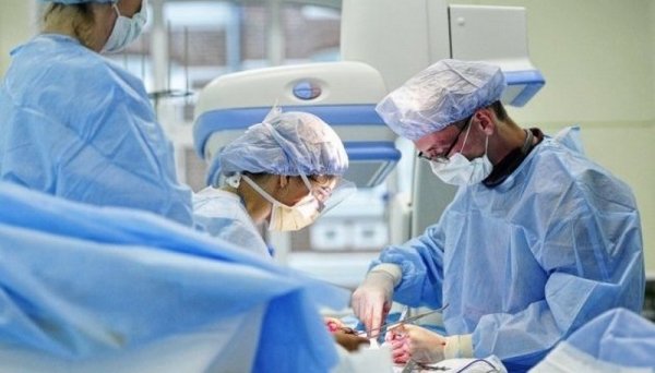 Трансплантация органов в Беларуси: что ждет пациентов из Украины