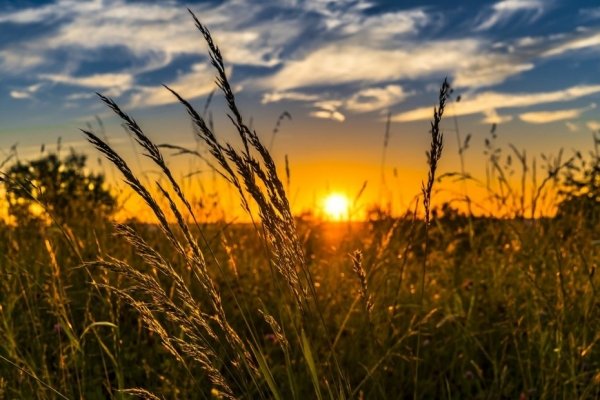В Украину идет жара: где потеплеет до +34°