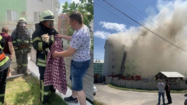 Взрыв под Киевом: что известно о пострадавших