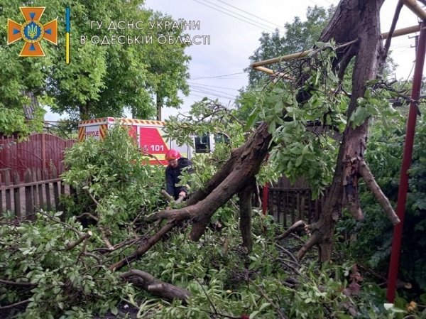 Непогода повредила крышу школы в Одесской области