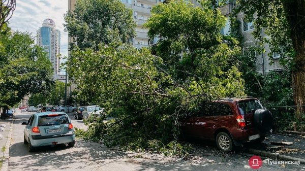 Мусор, размытая дорога и вырванный асфальт: как выглядит Аркадия после ночного ливня. Фоторепортаж