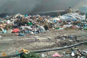 Восемь пожаров за сутки: Одесская область горит из-за жары