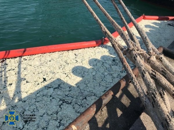 СБУ нашла подозреваемого в прошлогоднем загрязнении моря пальмовым маслом  