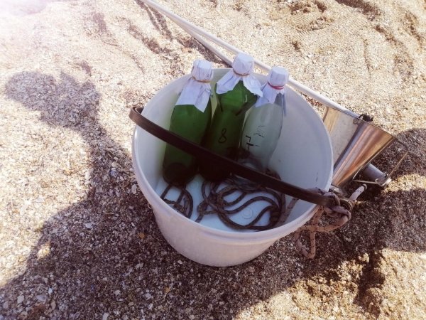 Качество морской воды в Одессе: где купаться можно, а где — нет