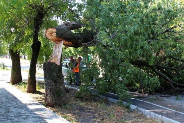 Последствия ненастья: Аккерману тоже досталось