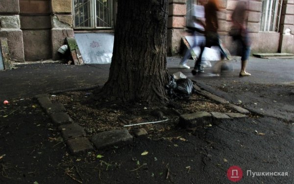 Дорожники готовы заплатить 300 тысяч за проект ремонта 700 квадратных метров тротуара в центре Одессы. Фото