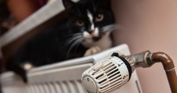 Местные власти будут устанавливать тарифы на отопление