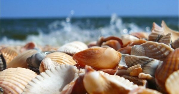 Сколько стоит отдых на курортах Одесской области