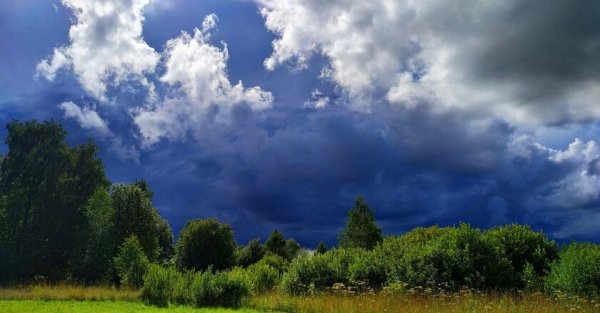 Жара до 42°: синоптики дали прогноз на август