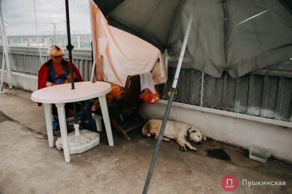 Пробник сентября: как поменялась атмосфера на одесских пляжах с приходом прохлады. Фоторепортаж