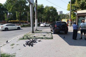 Ни стыда, ни совести: свежая фотоподборка наглых водителей в Одессе