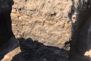 Засекреченные данные и первые находки: как проходят раскопки могильника под Одессой