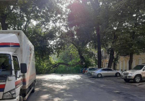 Не проедешь: в центре Одессы огромное дерево рухнуло на дорогу
