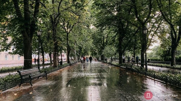 Центр Одессы после первого августовского дождя. Фоторепортаж
