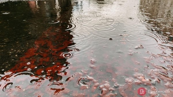 Центр Одессы после первого августовского дождя. Фоторепортаж