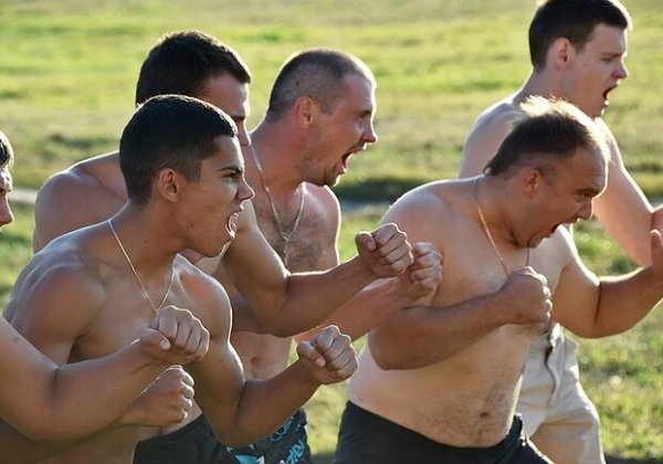 Хотят снести ворота: конфликт в Аркадии перерос в драку
