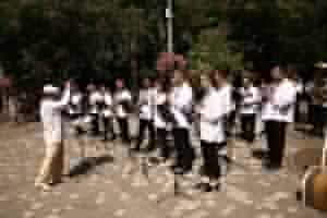 В одесском парке появилась аллея Тараса Шевченко: что она собой представляет 