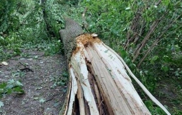 На Львовщину обрушился ураган: двое погибших