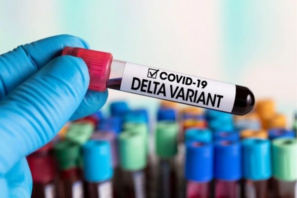 Штамм «Дельта» наступает: что известно о ситуации с мутацией в Украине