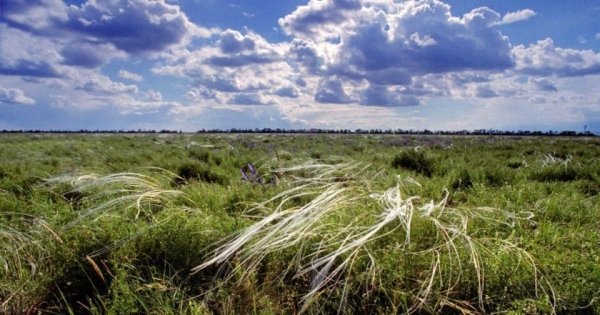 Украинцам пообещали жаркий день с дождями и грозами