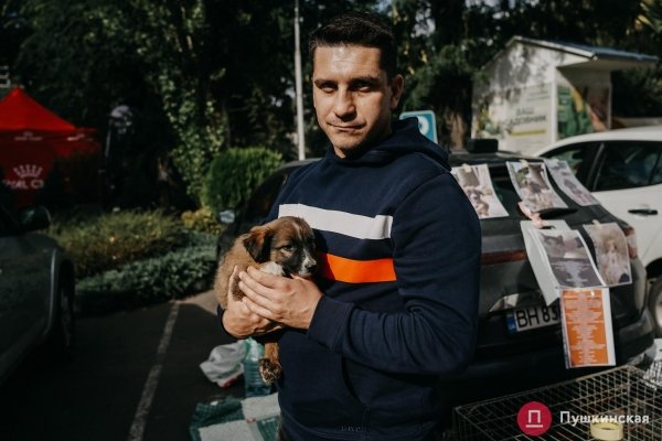 Home Me Fest: как в Одессе проходит самый добрый фестиваль для животных из приютов. Фоторепортаж