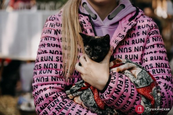 Home Me Fest: как в Одессе проходит самый добрый фестиваль для животных из приютов. Фоторепортаж