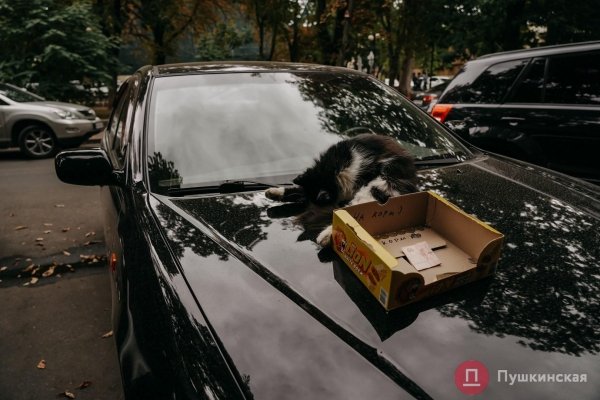 Из лета в глубокую осень: как Одесса и одесситы первые холода встречают. Фоторепортаж