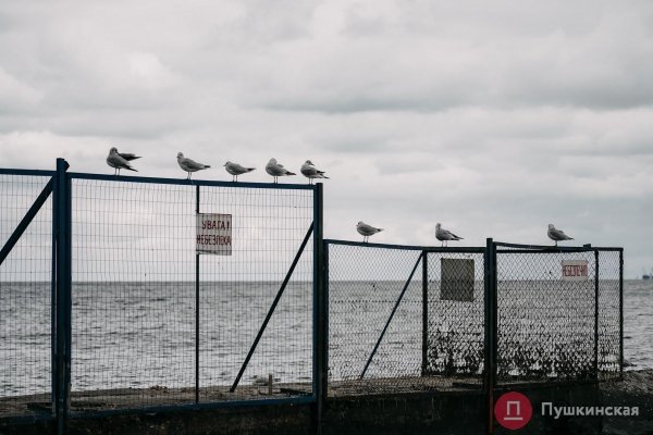 Из лета в глубокую осень: как Одесса и одесситы первые холода встречают. Фоторепортаж