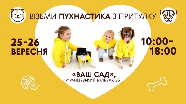 Шанс найти пушистого друга: в Одессе состоится фестиваль для животных из приютов Home Me Fest