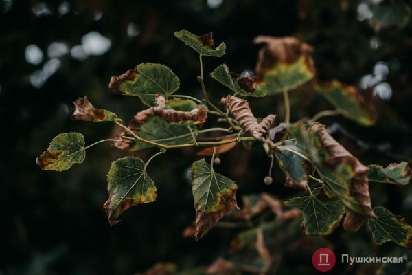 Из лета в глубокую осень: как Одесса и одесситы первые холода встречают. Фоторепортаж